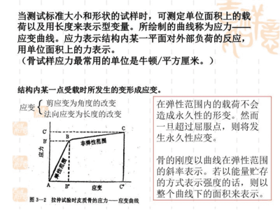 ppt绘制标准形状,powerpoint怎样绘制标准形状