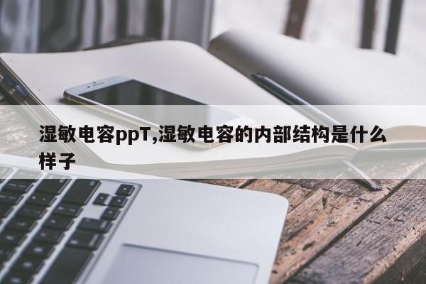 湿敏电容ppT,湿敏电容的内部结构是什么样子