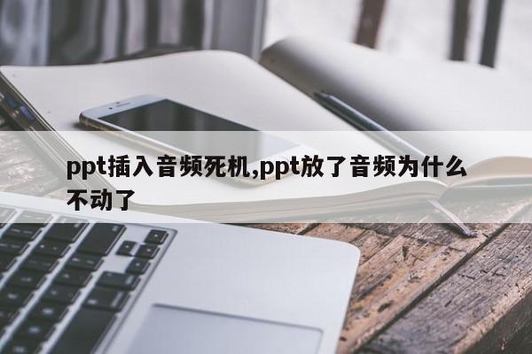 ppt插入音频死机,ppt放了音频为什么不动了