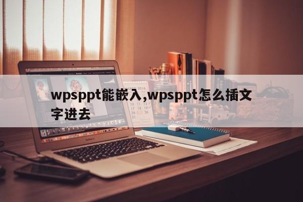 wpsppt能嵌入,wpsppt怎么插文字进去