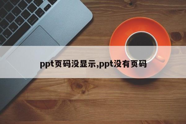 ppt页码没显示,ppt没有页码