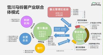 产业联合设计方案[产业联合体项目流程]